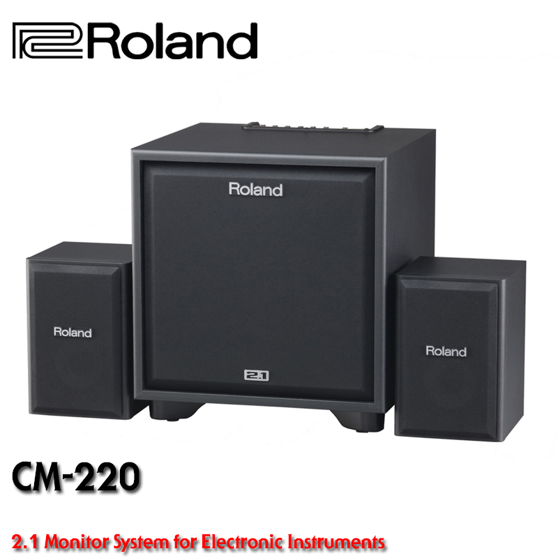 Roland Cube Monitor CM-220 (2.1Ch Monitoring System)